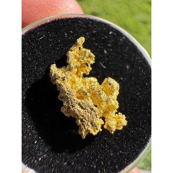 California Native Gold Crystal - 1.18 grams - Picture 3 of 5